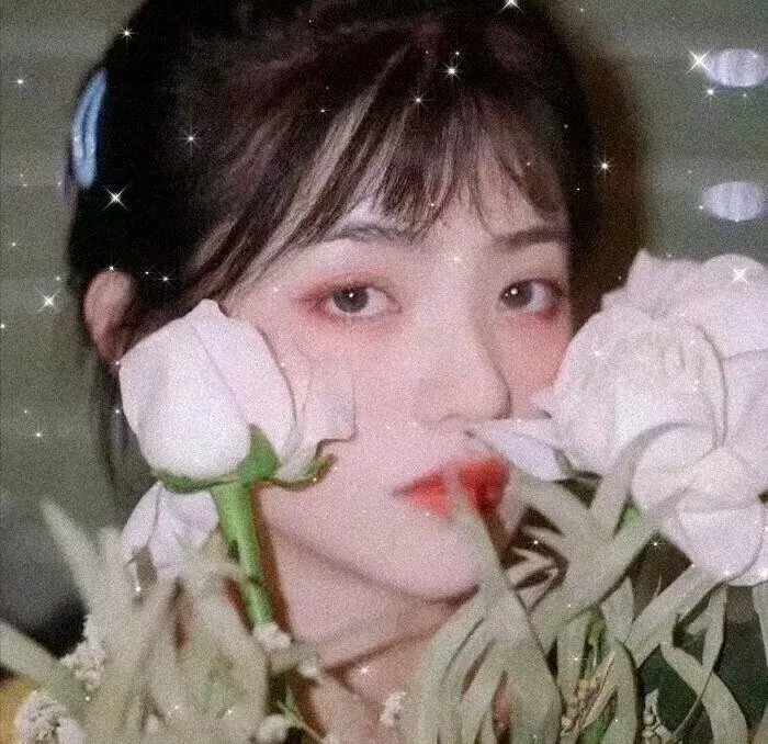 石榴裙下
